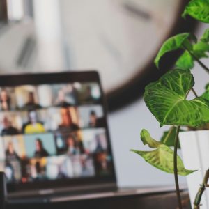 Online meeting on screen.